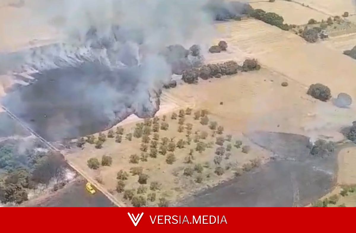 Un incendio forestal arrasa 1.000 hectáreas en Huesca