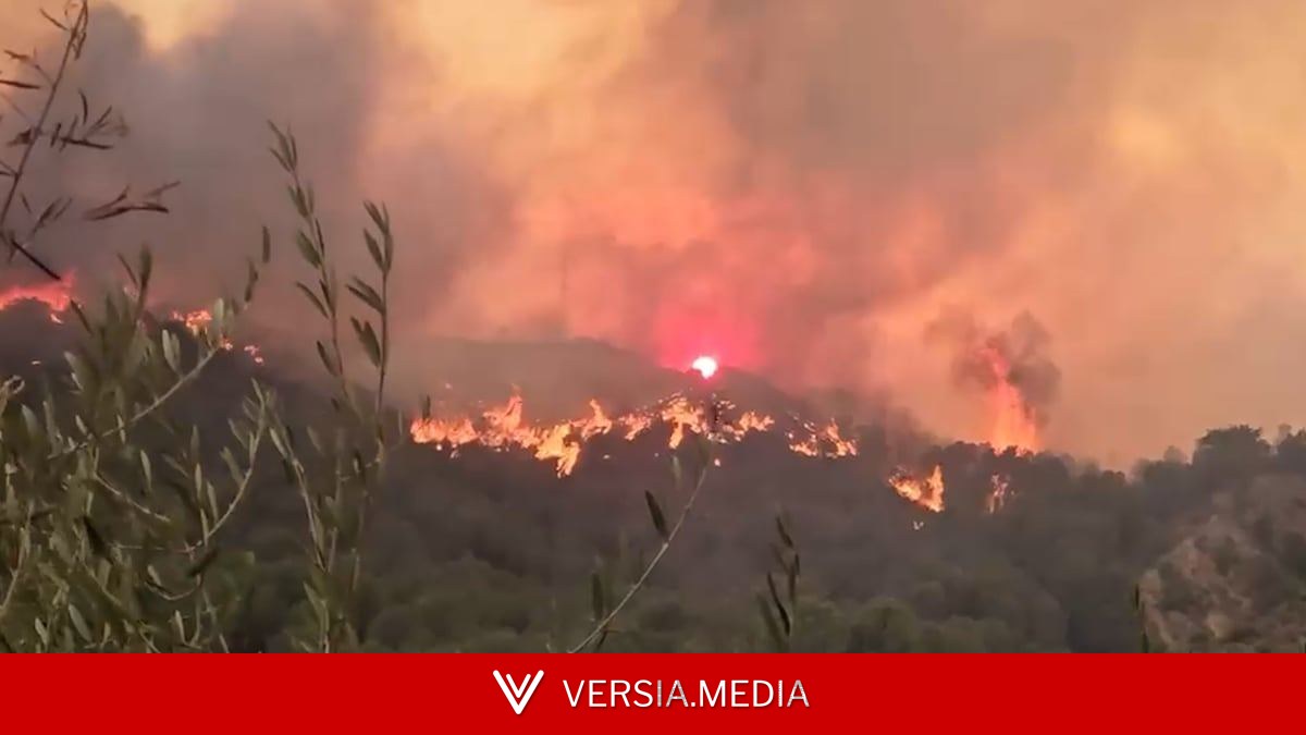 Las imágenes de uno de los supervivientes del incendio de Los Gallardos: “Menos mal que no salí”